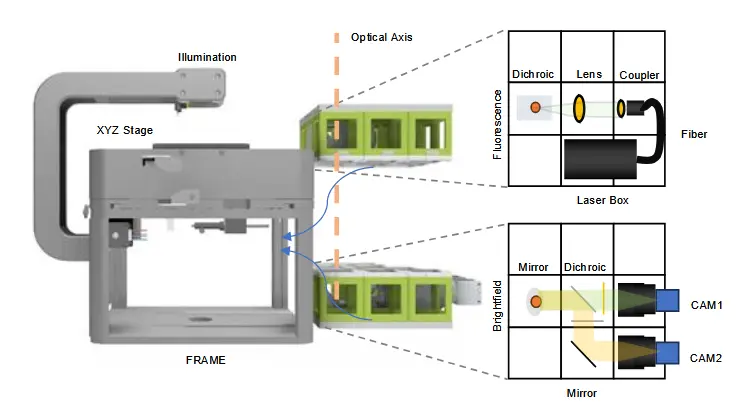 Screenshot 2025-09-03 113104.webp